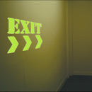 Coo-Var Luminous Paint