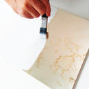 Coo-Var Shellac Prime-All White